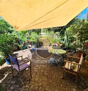 Foto annuncio 8