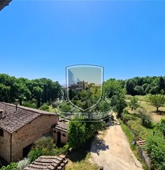 Foto annuncio 26