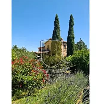 Foto annuncio 42