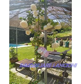 Foto annuncio 28