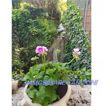 Foto annuncio 29