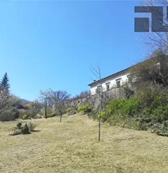 Foto annuncio 7