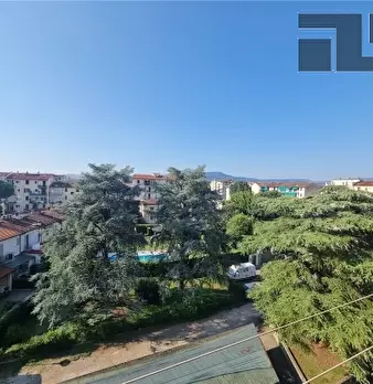 Foto annuncio 12