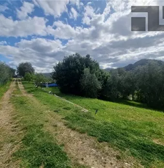 Foto annuncio 34