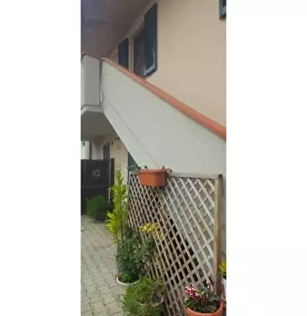 Foto annuncio 30