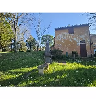 Foto annuncio 8
