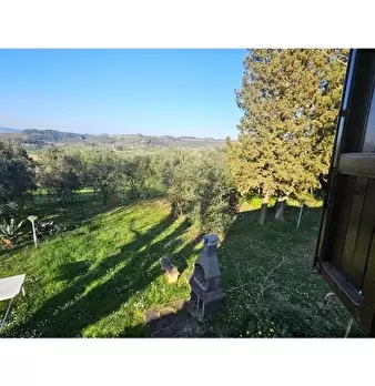 Foto annuncio 12