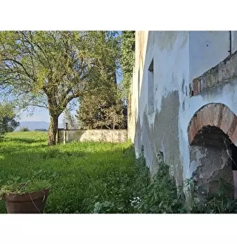 Foto annuncio 29