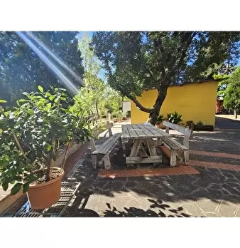 Foto annuncio 36