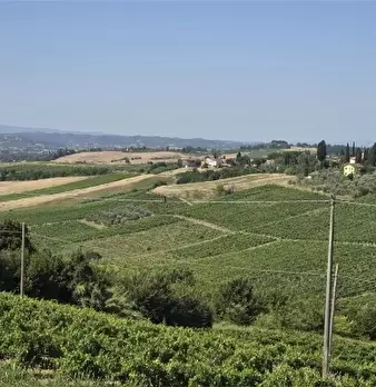 Foto annuncio 6