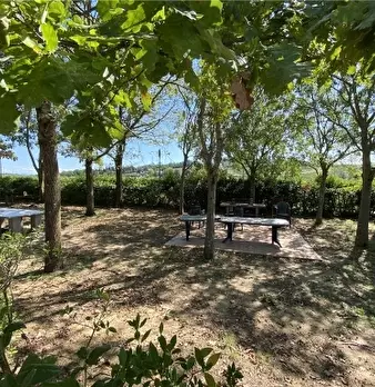Foto annuncio 17