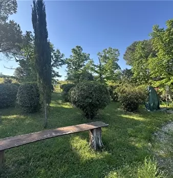 Foto annuncio 4