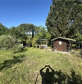 Foto annuncio 7