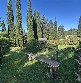 Foto annuncio 10