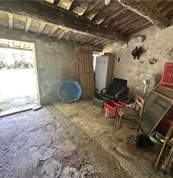 Foto annuncio 7