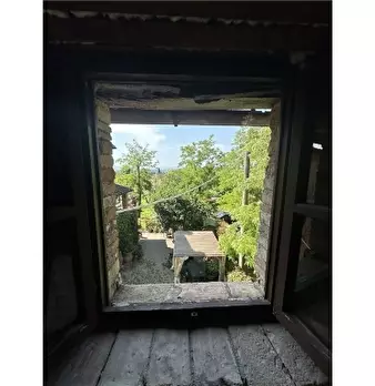 Foto annuncio 37