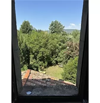 Foto annuncio 41