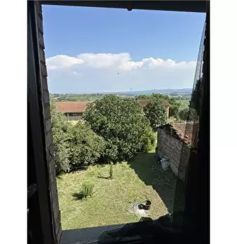 Foto annuncio 46