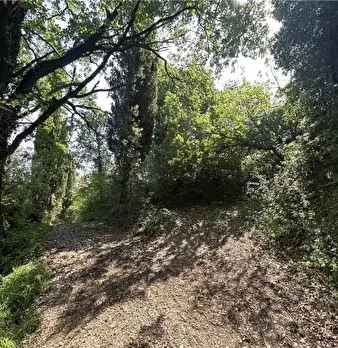 Foto annuncio 49