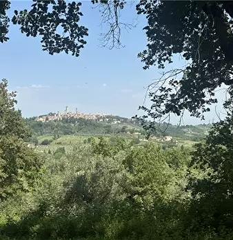 Foto annuncio 50