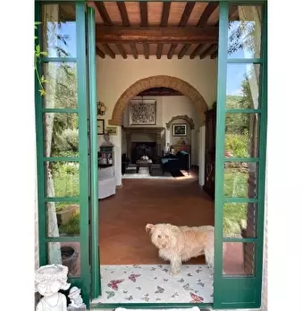 Foto annuncio 2