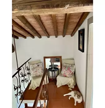 Foto annuncio 47