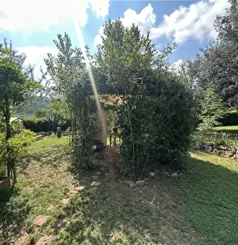 Foto annuncio 60