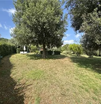Foto annuncio 68