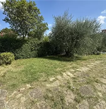 Foto annuncio 75