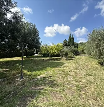 Foto annuncio 77