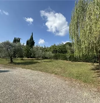 Foto annuncio 78