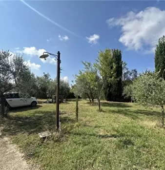 Foto annuncio 79