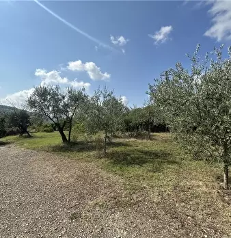 Foto annuncio 80