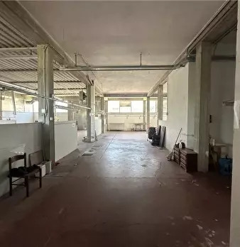 Foto annuncio 31