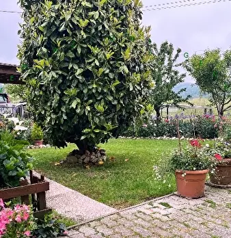 Foto annuncio 4