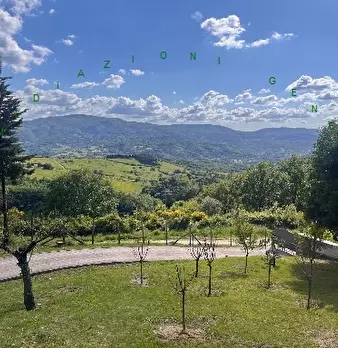 Foto annuncio 23