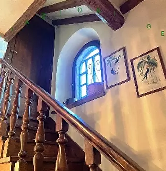 Foto annuncio 26