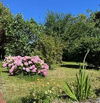 Foto annuncio 5
