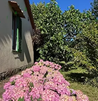 Foto annuncio 7