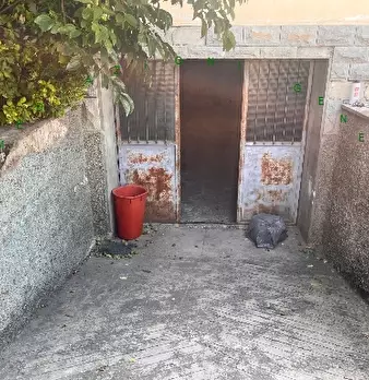 Foto annuncio 13