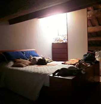 Foto annuncio 6