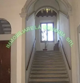 Foto annuncio 4