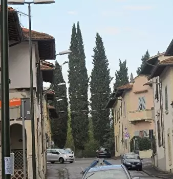 Foto annuncio 1