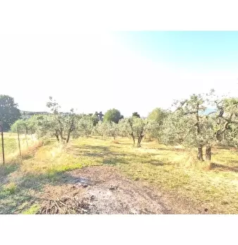 Foto annuncio 4