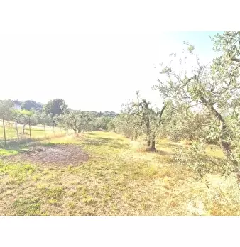 Foto annuncio 6