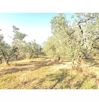 Foto annuncio 10