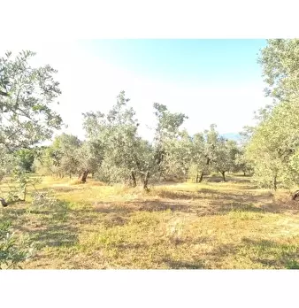 Foto annuncio 13