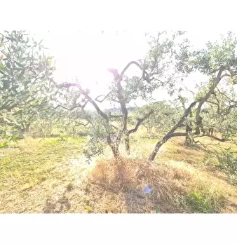 Foto annuncio 14