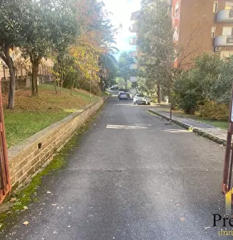 Foto annuncio 13