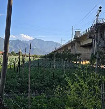 Foto annuncio 2